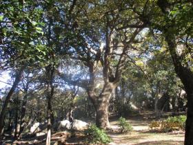 photo coins arrondis